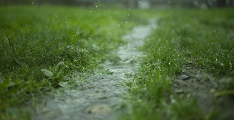 Chuvas caindo sobre área gramada durante o ciclo natural da água